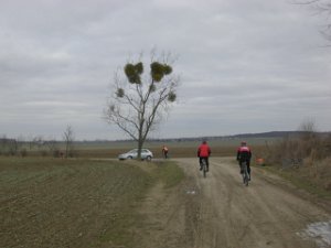 CTF Osterweddingen 2009 038